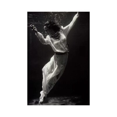 Fashion Model Underwater in Dolphin Tank - Wrapped Canvas Photograph Print - Image 0