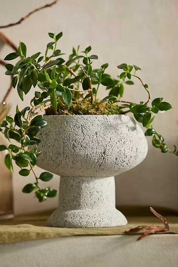 Pumice Urn Planter - Image 0