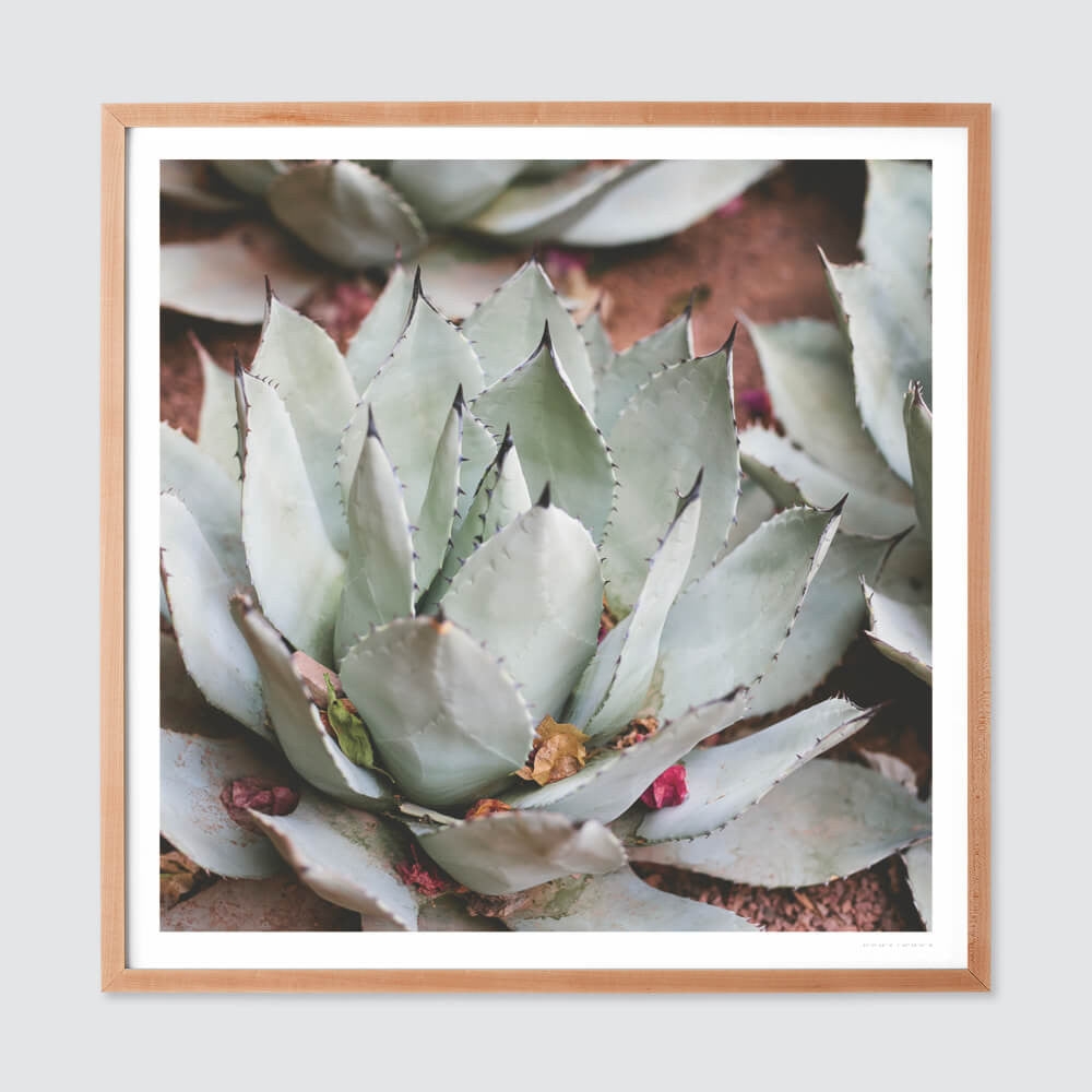 The Citizenry Jardin Wall Art | 30" x 30" | White - Image 5