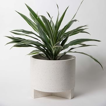 Large Planter With Base Concrete Removable Base White Terrazzo - Image 3