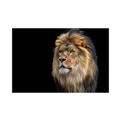Majestic by David Gardiner - Gallery-Wrapped Canvas Giclée - Image 0