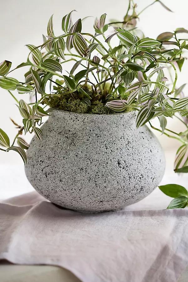 Pumice Jar Planter - Image 0