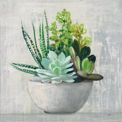 Succulent Still Life II by Julia Purinton - Wrapped Canvas Painting Print - Image 0