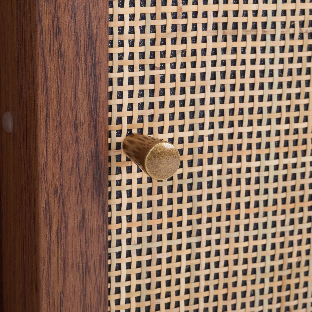 Silvanna 2 Door Coffee Table - Walnut / Natural - Safavieh - Image 3