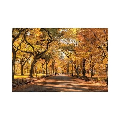 Autumn Colors In Central Park, New York City, USA - Wrapped Canvas Print - Image 0
