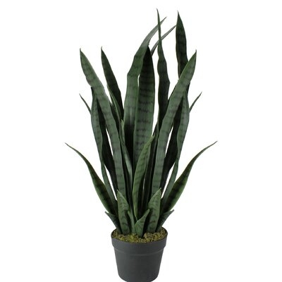 29 Two Tone Green Artificial Potted Snake Plant - Image 0