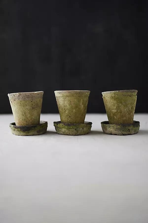 Earth Fired Clay Herb Pot + Saucer, Set of 3 - Image 0
