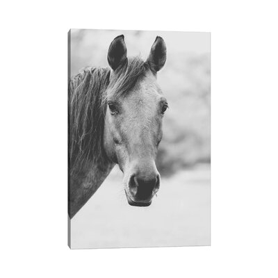 Wild Heart by Ann Hudec - Wrapped Canvas Photograph Print - Image 0