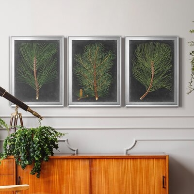 Dramatic Pine I Premium Framed Canvas - Ready To Hang - Image 0
