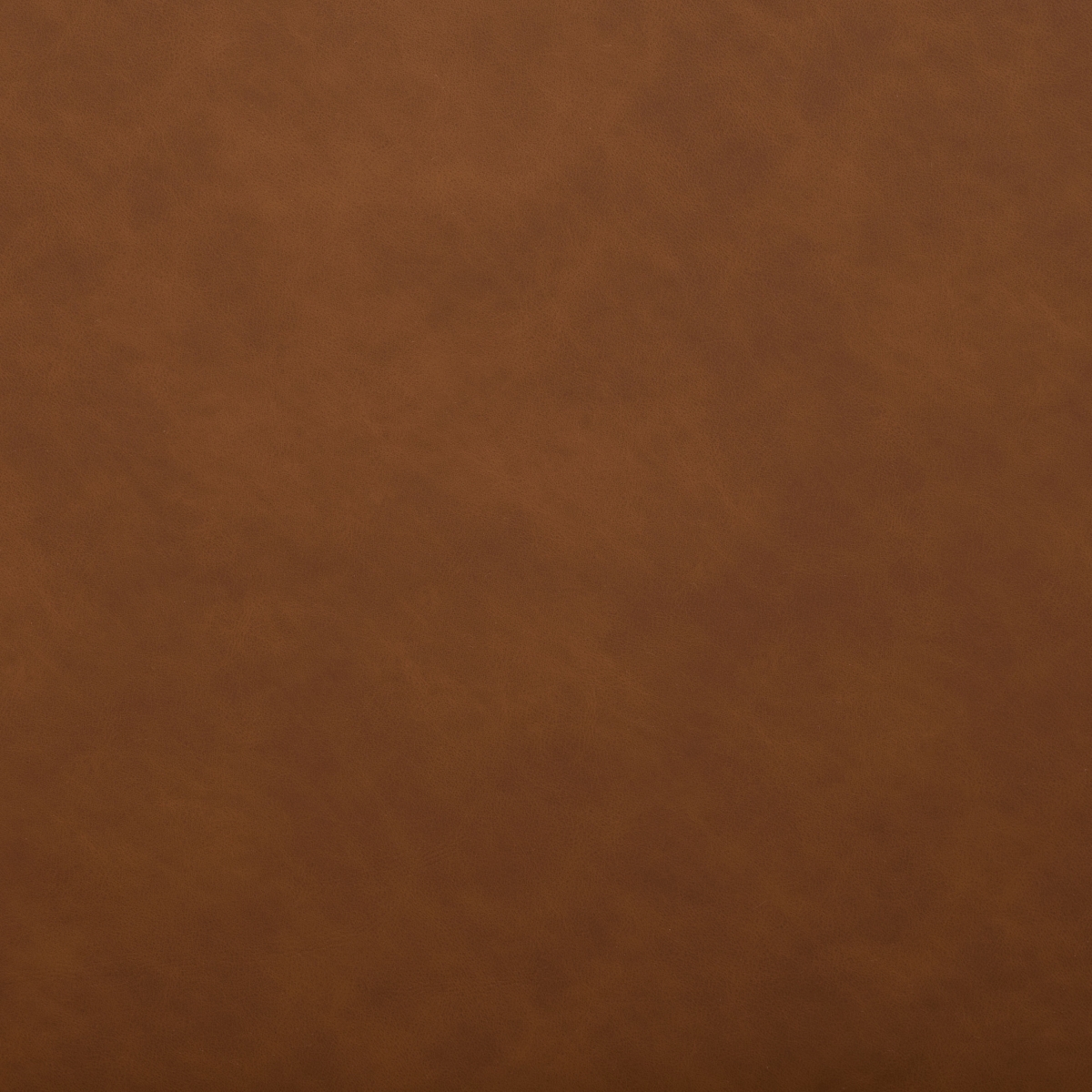 Alexis Mid Century Counterstool - Cognac / Black - Safavieh - Image 4