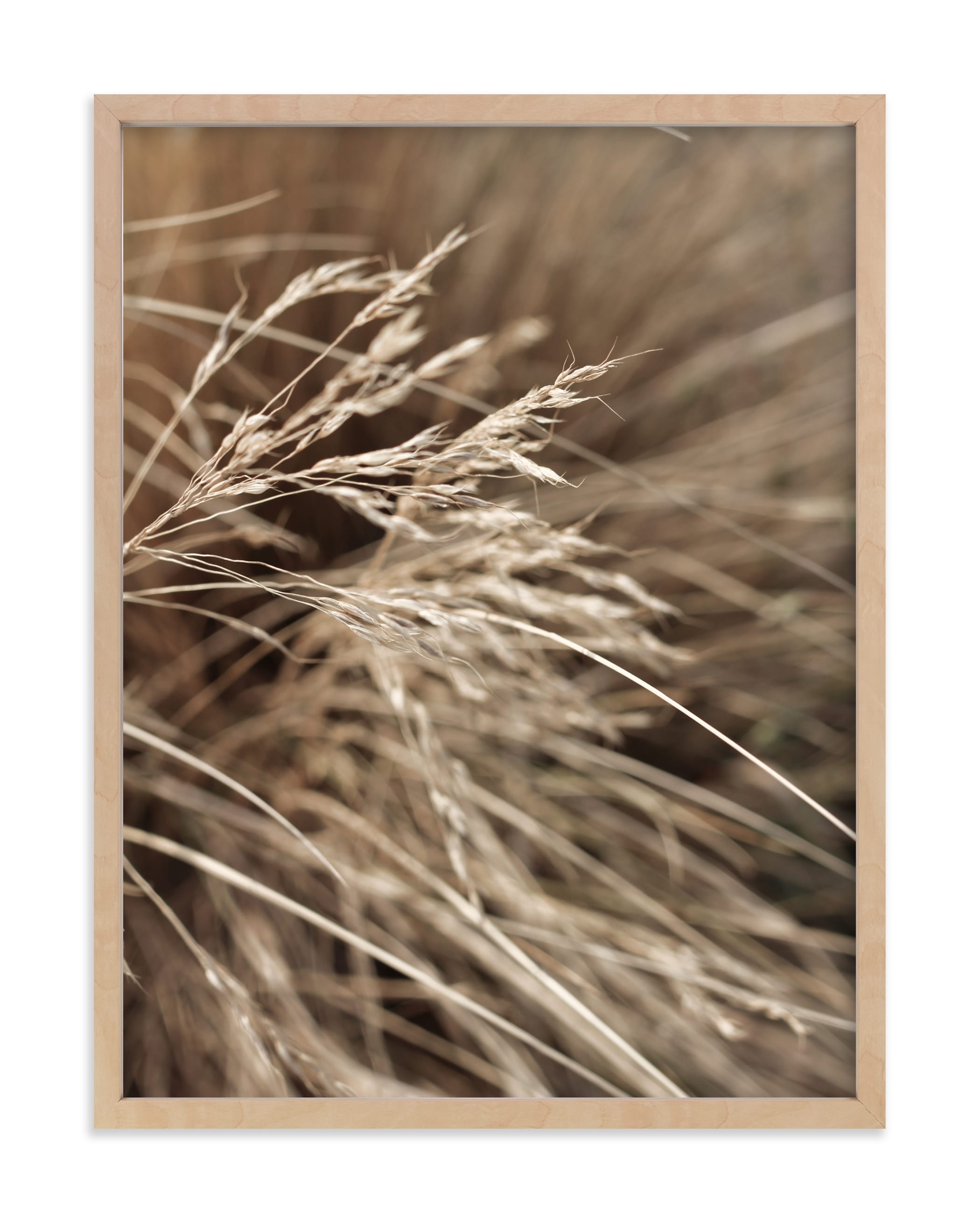 Summertime 2 Limited Edition Fine Art Print 2 - Image 0