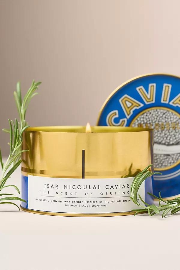Tsar Nicoulai Spice Sage and Rosemary Caviar Tin Candle - Image 0