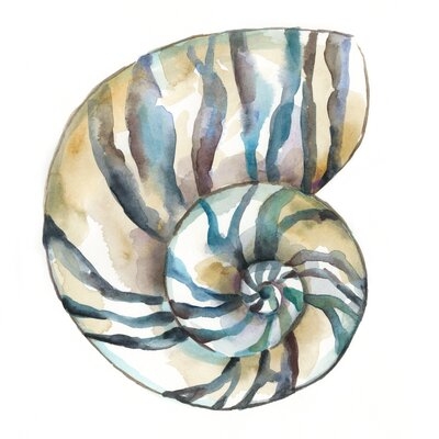Aquarelle Shells II by Chariklia Zarris Painting Print on Canvas - Image 0