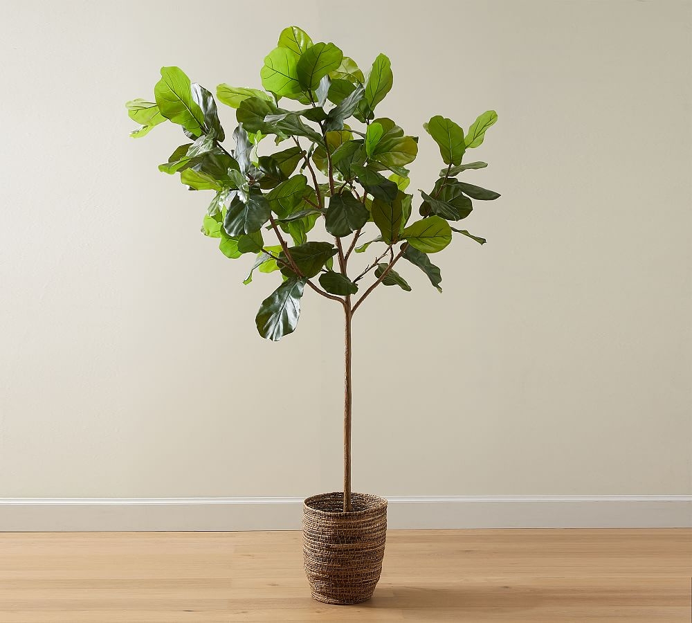 Faux Potted Fiddle Leaf Fig Tree, Large, 8' - Image 0