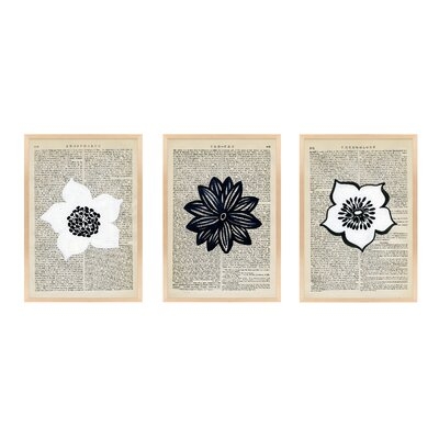 Suite Of 3 Flowers By Michela Sorrentino - Framed Wall Art - Image 0