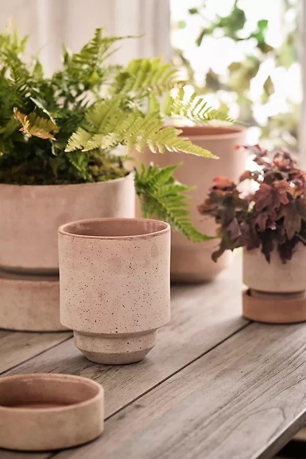 Hoff Terracotta Pot - Image 0