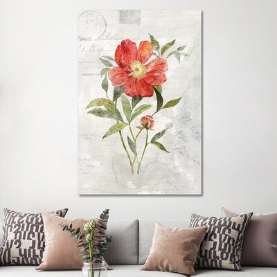 Linen Peony by Carol Robinson - Wrapped Canvas Graphic Art Print - Image 0