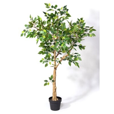 54in Mini Ficus Tree - Image 0