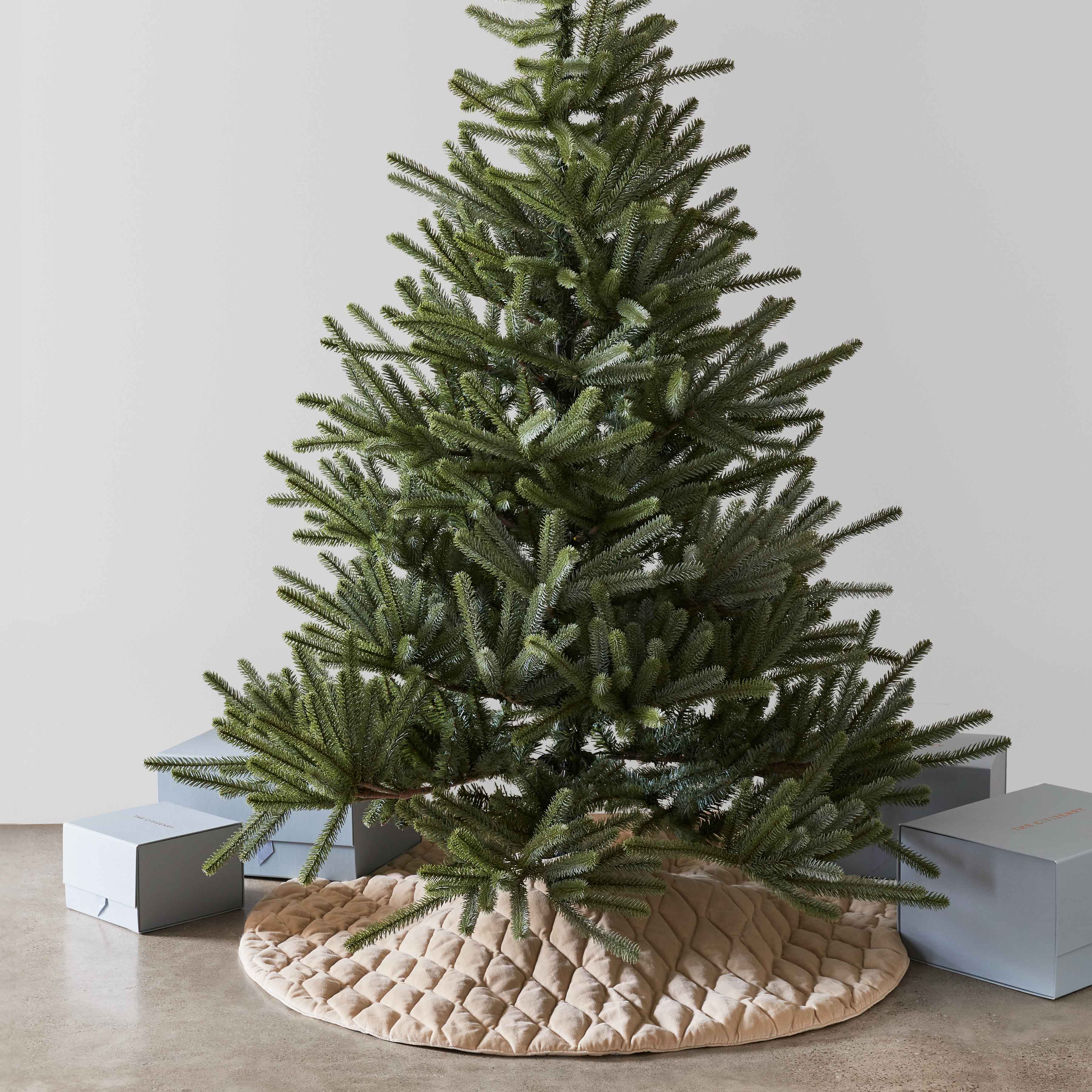 The Citizenry Naveta Velvet Tree Skirt | Mulberry - Image 3