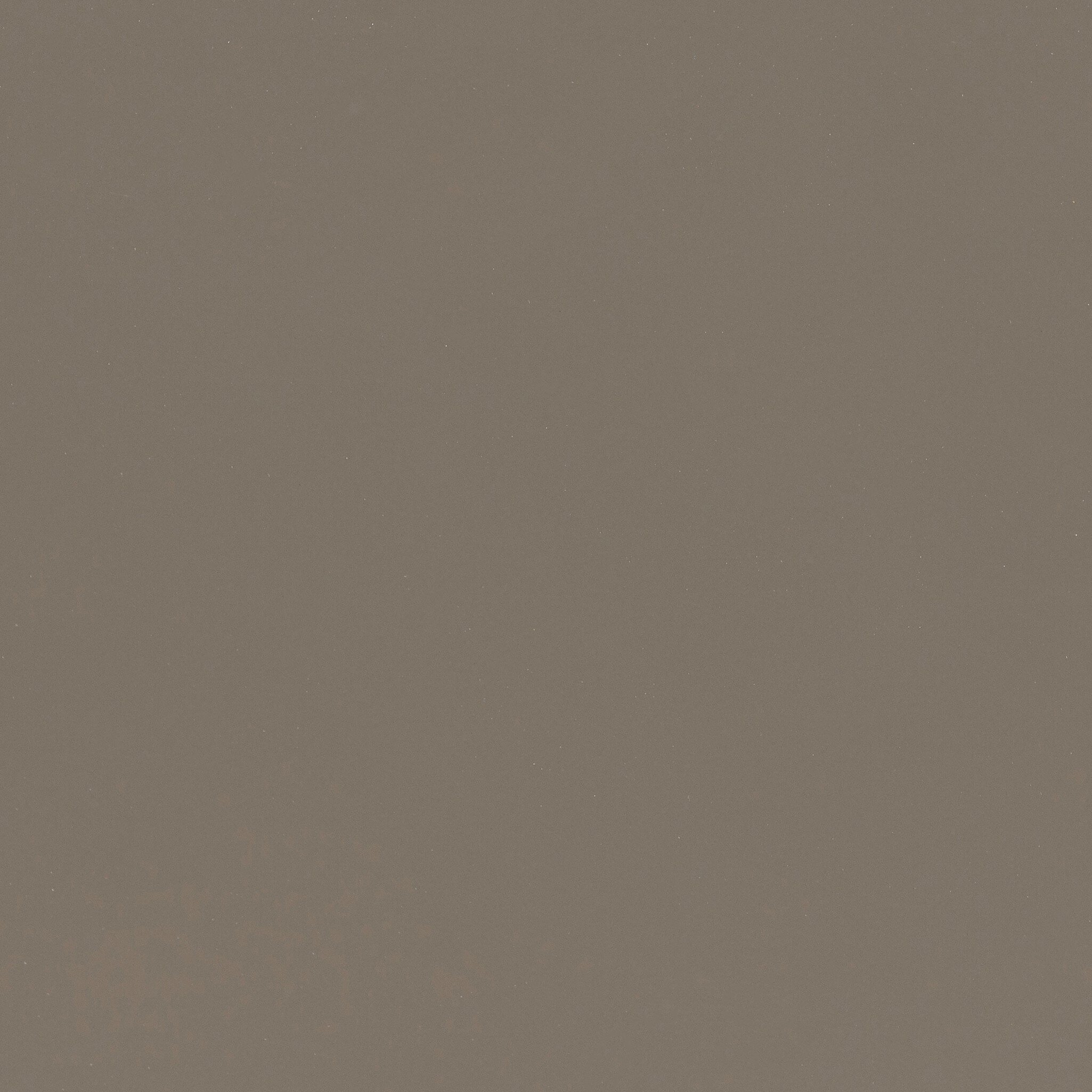 Zia Coffee Table - Olive Lacquer - Image 4