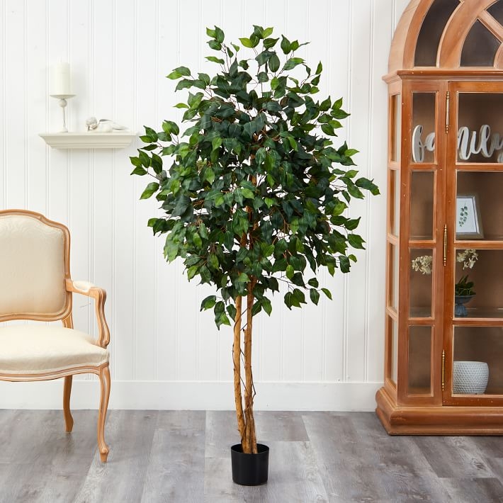 Faux Potted Ficus Tree, 5' - Image 2