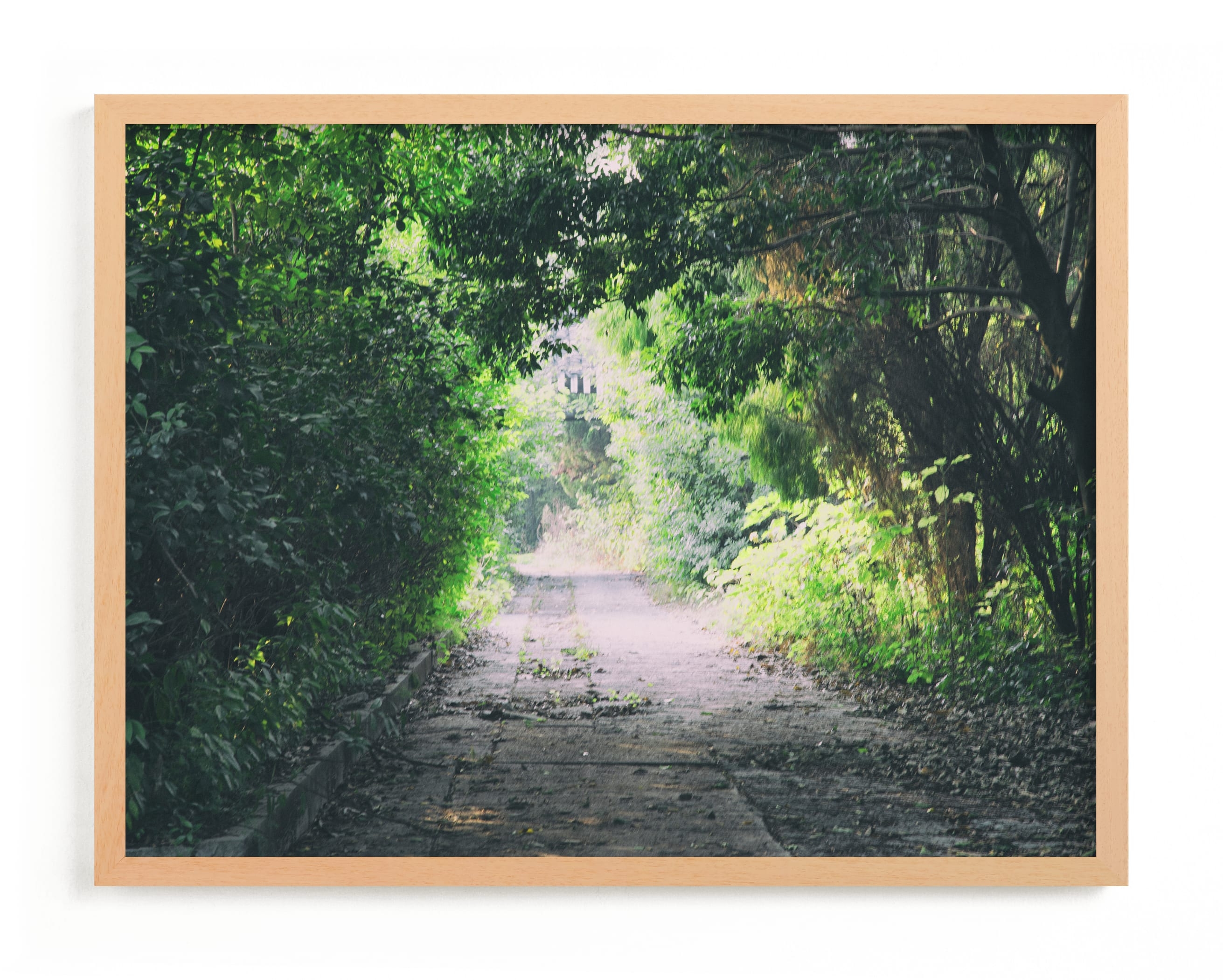 Pathway Limited Edition Fine Art Print 2 - Image 0