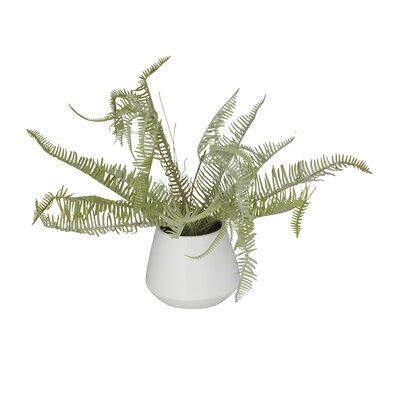 Cole And Grey Contemporary Ceramic Artificial Foliage - Image 0