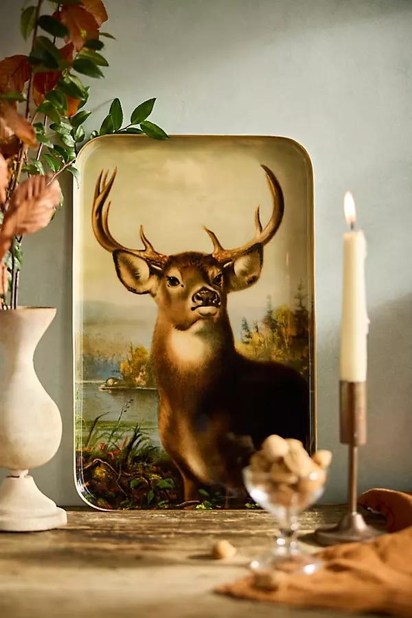 Printed Archival Tray, Large - Image 0