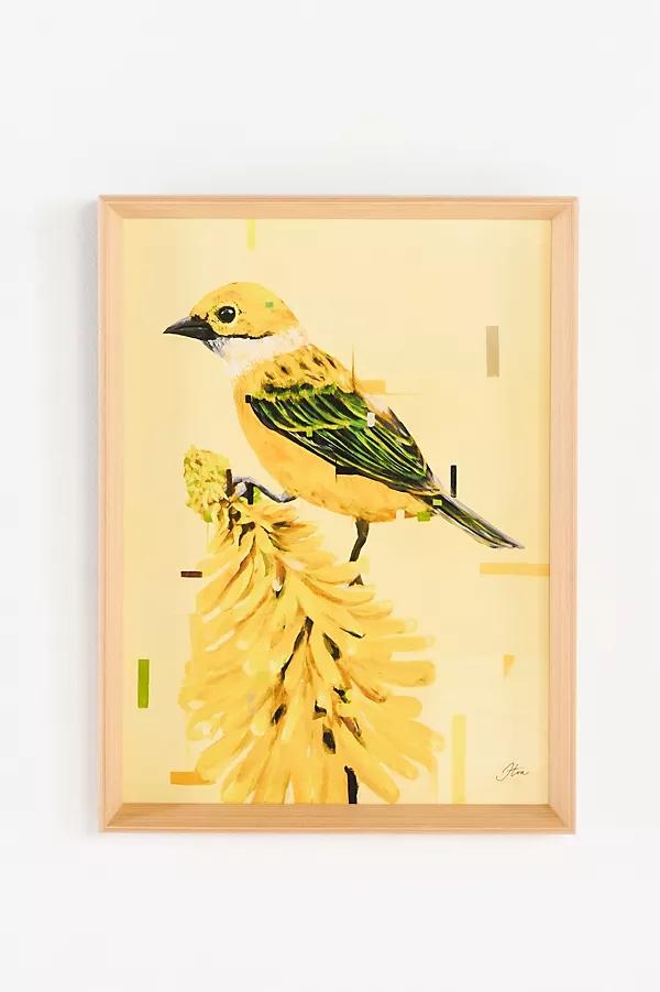 Color Birds Wall Art - Image 0
