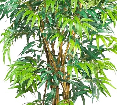 Faux Curved Bamboo Tree, 6' - Image 1