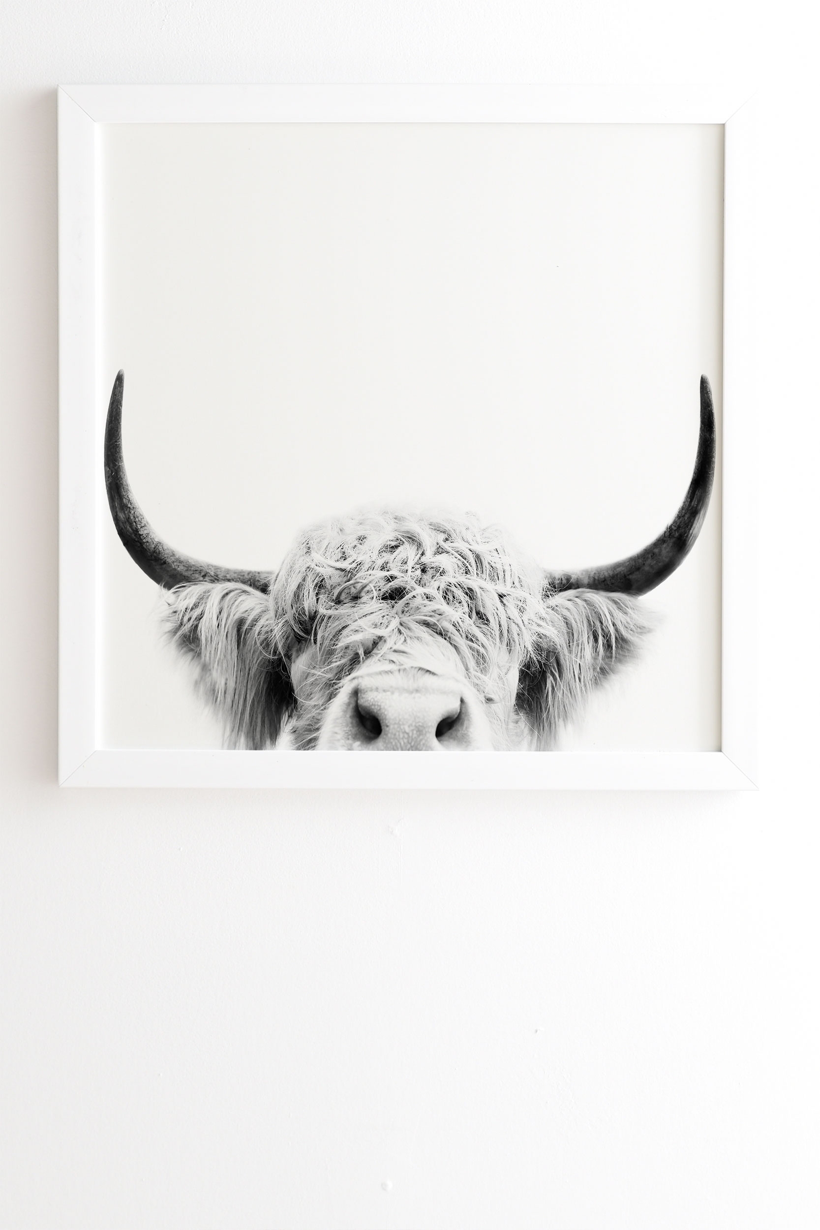 Peeking Highland Cow by Sisi and Seb - Framed Wall Art Basic White 20" x 20" - Image 1