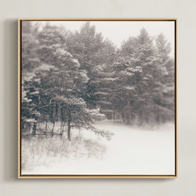 Play On A Winters Day 1 Limited Edition Fine Art Print 2 - Image 0