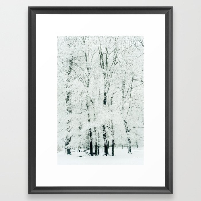 Frosted Framed Art Print by Dorit Fuhg - Scoop Black - Medium(Gallery) 18" x 24"-20x26 - Image 0