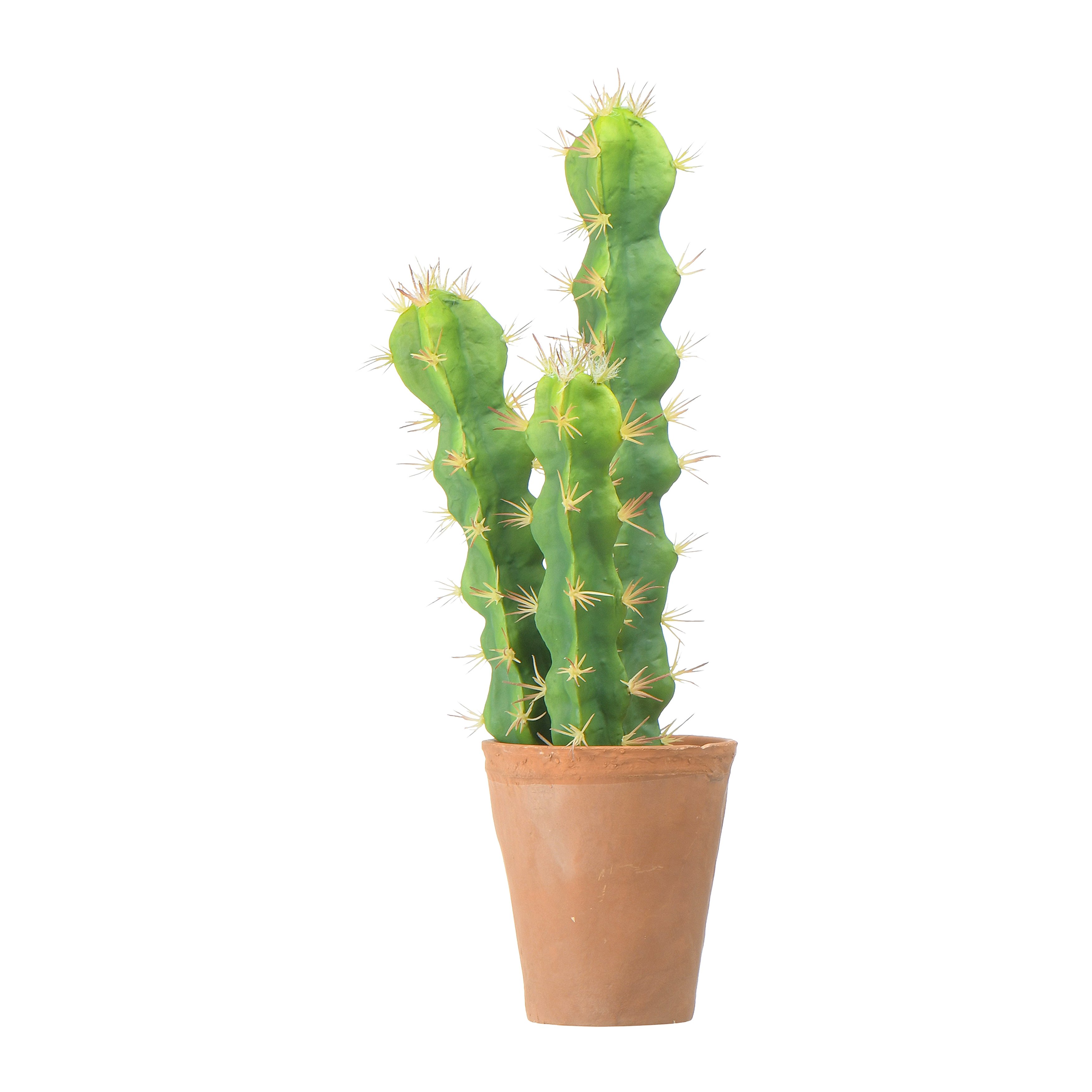 Faux Cactus in Terracotta Colored Pot - Image 0