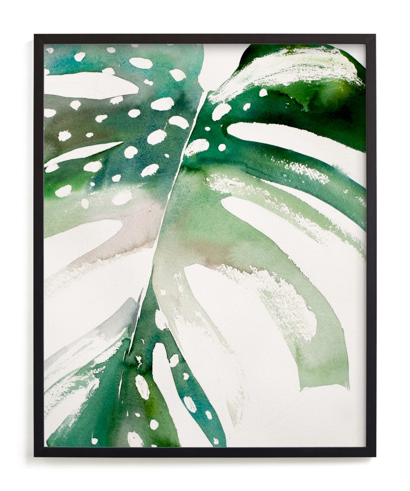 Begonia Monsteras Limited Edition Fine Art Print 2 - Image 0