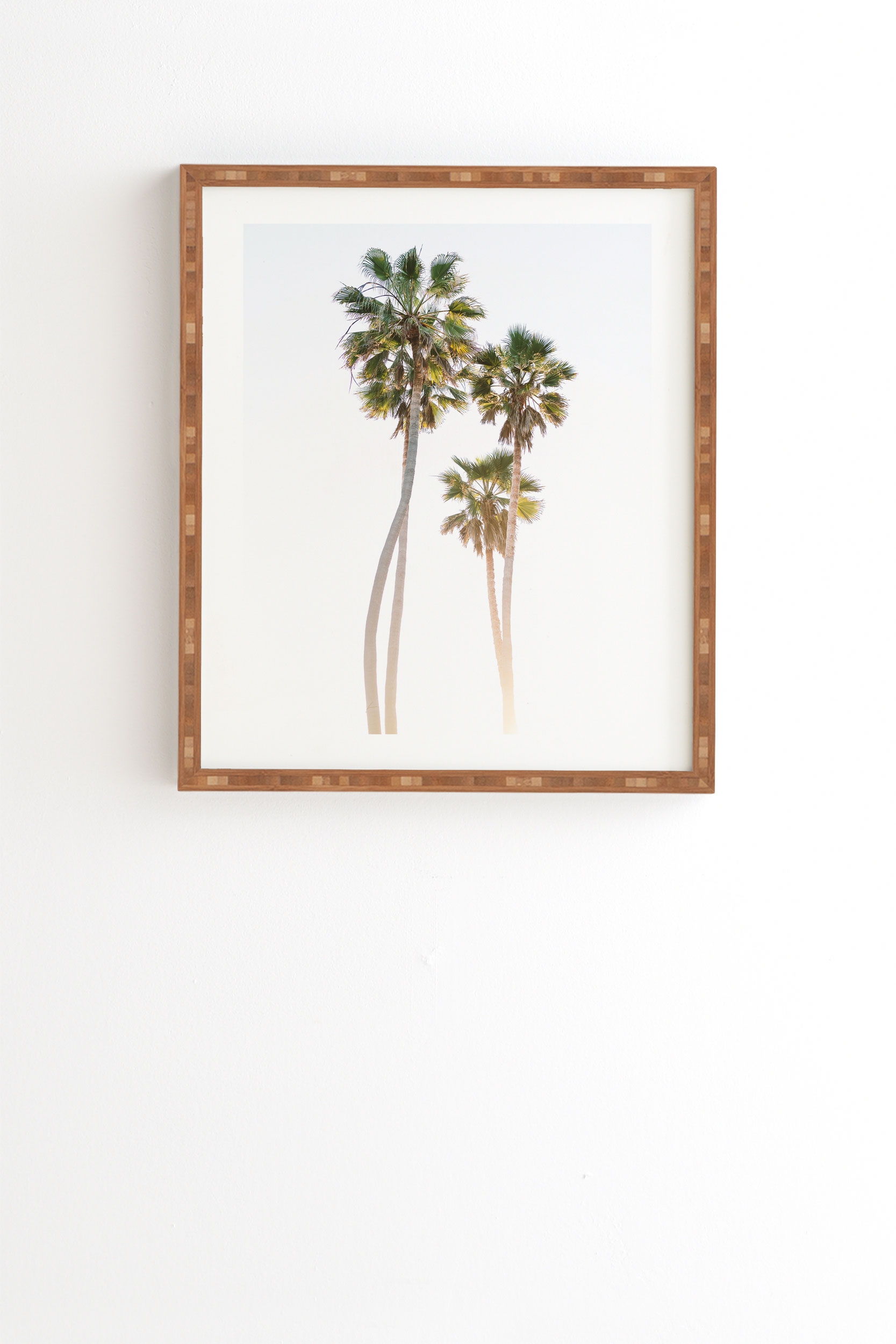 California Palms by Bethany Young Photography - Framed Wall Art Bamboo 30" x 30" - Image 0
