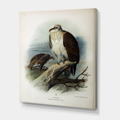 Vintage Bird Life VI - Traditional Canvas Wall Art Print - Image 0