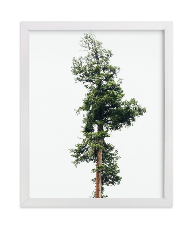 Solo Limited Edition Fine Art Print 1 - Image 0