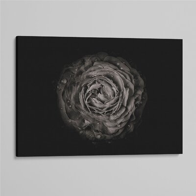 'Backyard Flowers In Black And White 73' - Photographic Print On Wrapped Canvas - Image 0