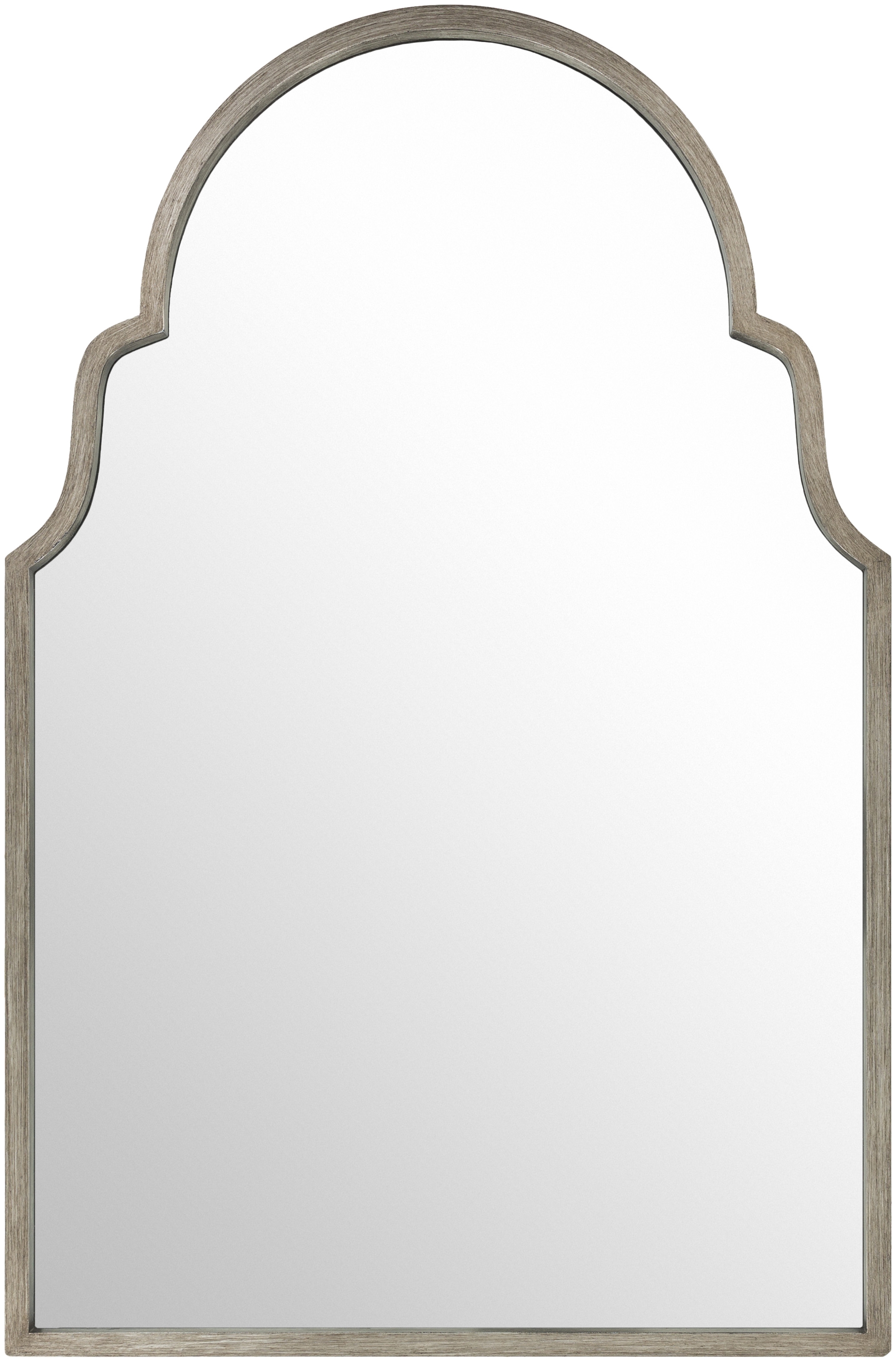 Vassar Metallic - Silver 40"H x 30"W x 0.5"D Accent Mirror - Image 0
