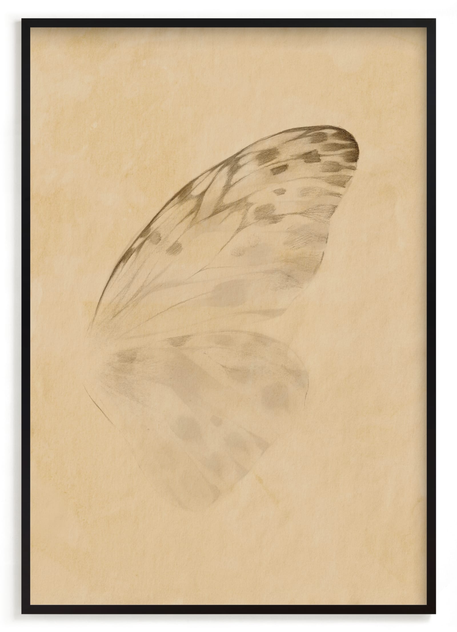 Vintage Mariposa II Limited Edition Fine Art Print 2 - Image 0