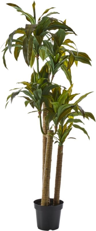 Potted Faux Yucca Tree 6' - Image 3
