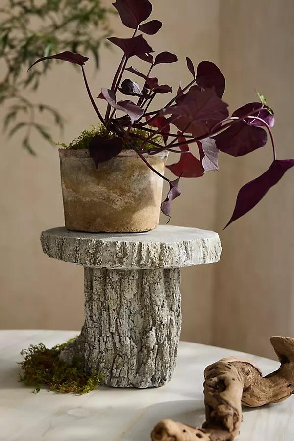 Faux Bois Stand - Image 0