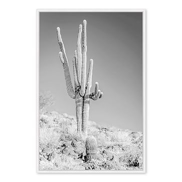 Towering Cactus 1, Small - Image 1