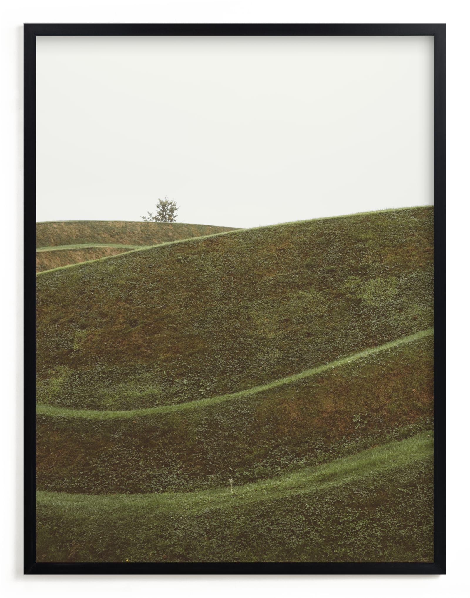 Swooped I Open Edition Fine Art Print - Image 0