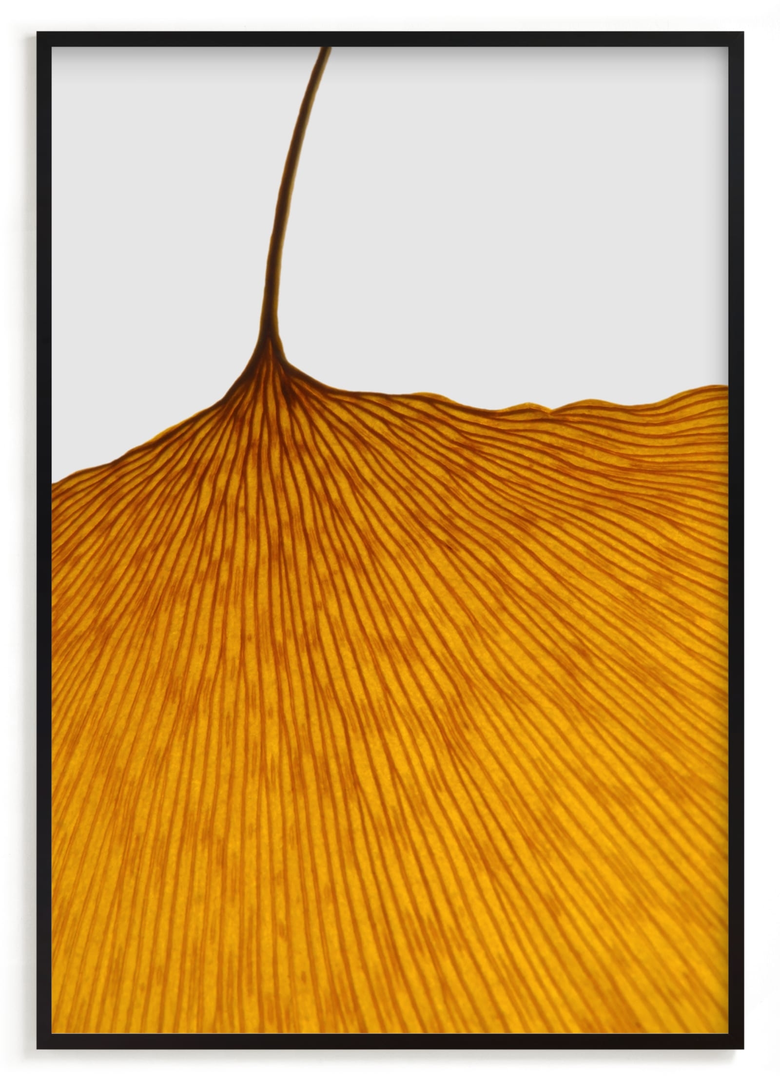 Calm Contortion Limited Edition Fine Art Print 2 - Image 0