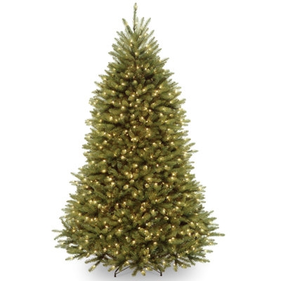 AllModern Dunhill Tree