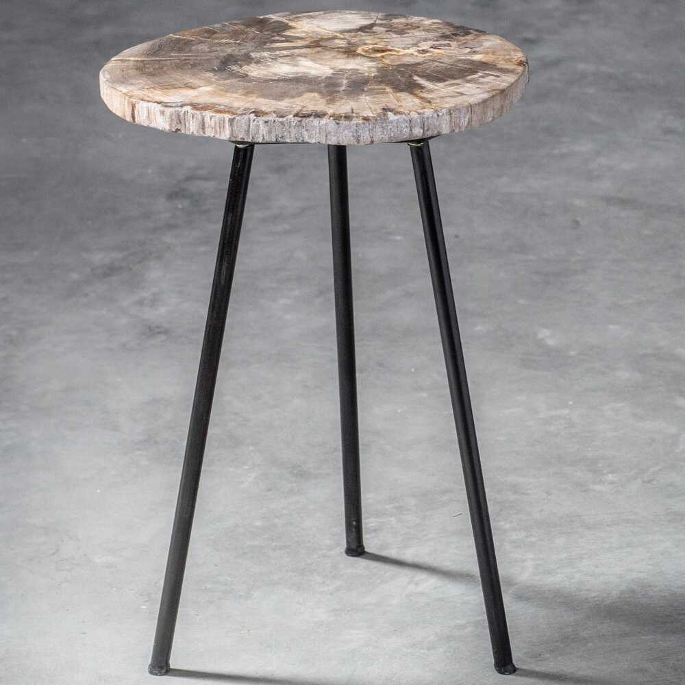 Mircea Petrified Wood Accent Table - Image 7