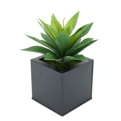 7'' Artificial Succulent Plant in Pot - Image 0
