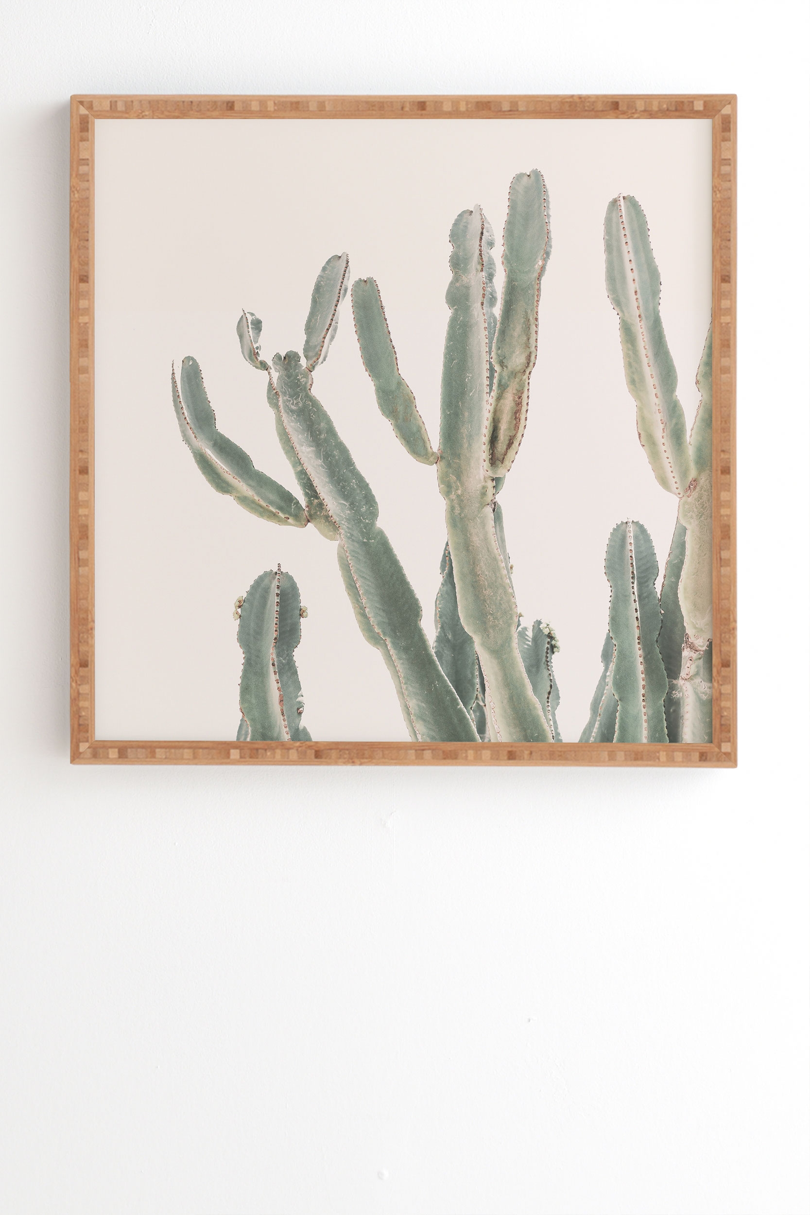 Sunrise Cactus by Sisi and Seb - Framed Wall Art Bamboo 30" x 30" - Image 0